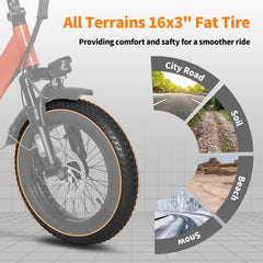 Axiniu YY02 Foldable Electric Bike 13AH Battery with 16"×3.0" Tire