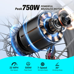 Axiniu 24 Inch Electric Bike for Adults, Step Through Ebike for Women, Peak 750W Motor 22MPH, 48V 20AH Removable Battery Up to 70 Miles, 7 Speed Dual Shock Absorber, City Cruiser Commuter Bicycle