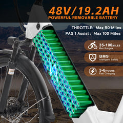 Axiniu Electric Bike for Adults Step Through Eectric Bike 26 inch w/ 750W Motor, 48V 19.2Ah Removable Battery Up to 100 Miles Electric Bicycles Long Range Ebike for Women