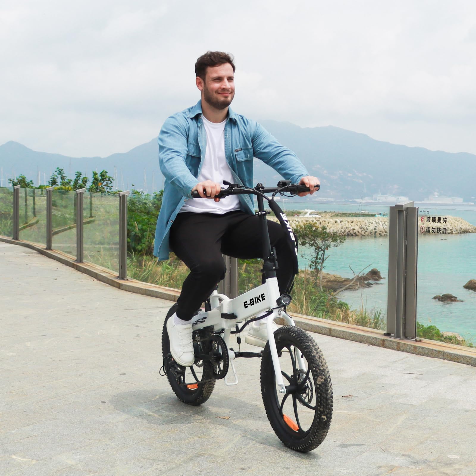 Axiniu 20" Folding Electric Bike丨850W Electric Bikes for Adults丨48V 13Ah Portable Battery丨48.5Lbs Lightweight Folding E-Bike丨60 Miles Range丨25mph Speed - Class 2 Fat TIre Ebike